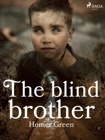 Obálka knihy The Blind Brother