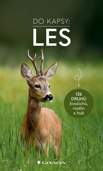 Obálka knihy Les - Do kapsy
