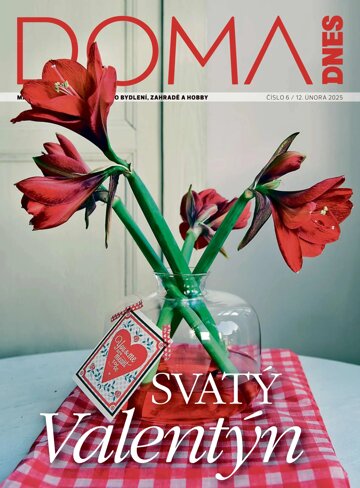 Obálka e-magazínu Doma DNES 12.2.2025