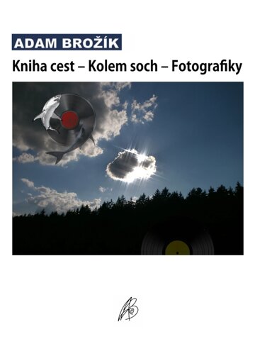 Obálka knihy Kniha cest – Kolem soch – Fotografiky