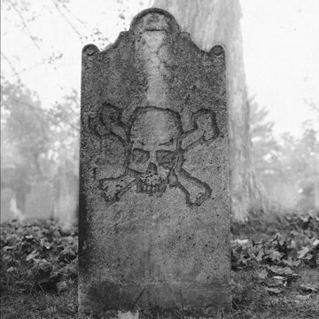 Obálka uvítací melodie You're Gonna Have To Kill Me