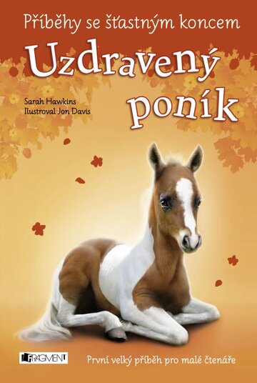 Obálka knihy Příběhy se šťastným koncem - Uzdravený poník