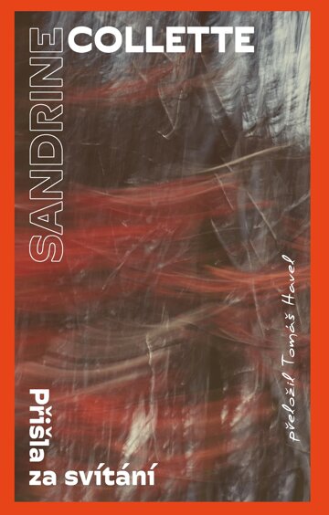 Obálka knihy Přišla za svítání