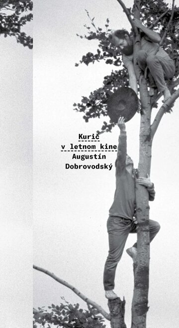 Obálka knihy Kurič v letnom kine