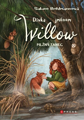 Obálka knihy Dívka jménem Willow: Mlžný tanec
