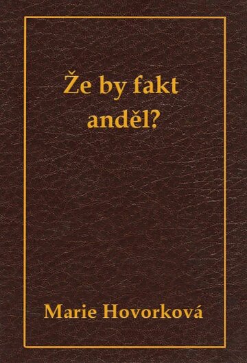 Obálka knihy Že by fakt anděl?
