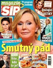 Obálka e-magazínu Magazín Šíp 37/2013