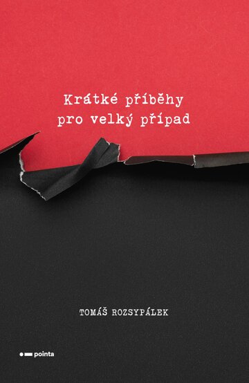 Obálka knihy Krátké příběhy pro velký případ