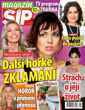 Obálka e-magazínu MAGAZIN ŠÍP 21/2016
