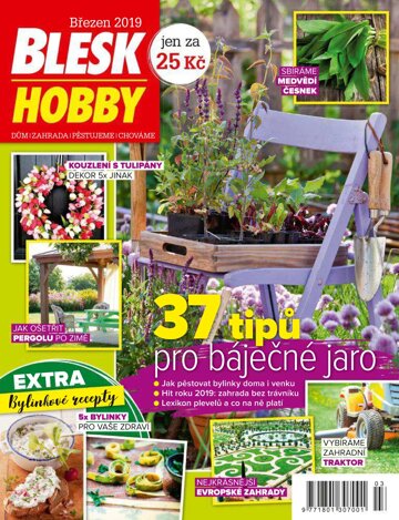 Obálka e-magazínu Blesk Hobby 3/2019