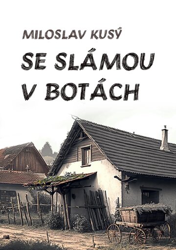 Obálka knihy Se slámou v botách