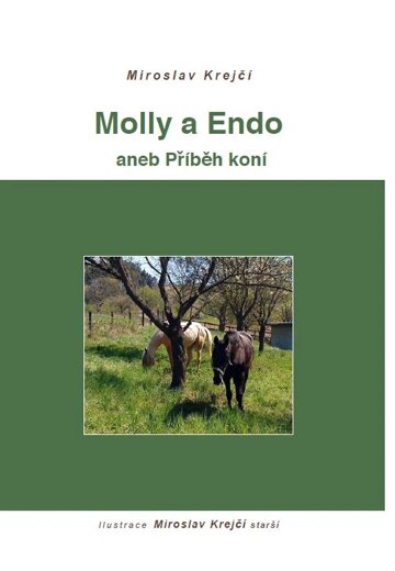 Obálka knihy Molly a Endo