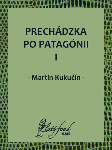 Obálka knihy Prechádzka po Patagónii I