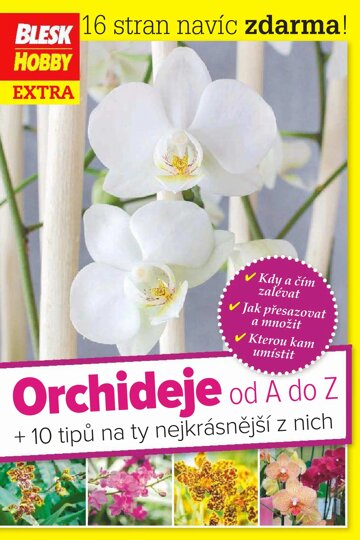 Obálka e-magazínu Příloha Blesku Hobby - 01/2016