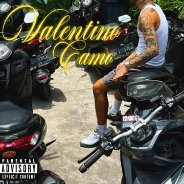 Obálka uvítací melodie Valentino Camo