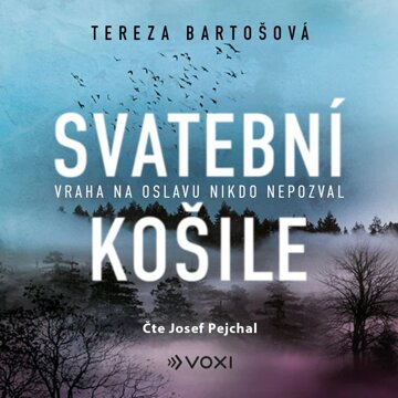 Obálka audioknihy Svatební košile