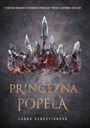 Obálka knihy Princezna popela