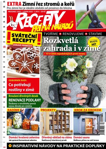 Obálka e-magazínu Recepty prima nápadů 12/20.1.202122