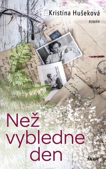 Obálka knihy Než vybledne den