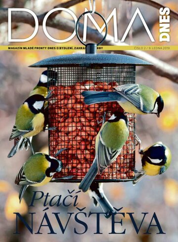 Obálka e-magazínu Doma DNES 9.1.2019