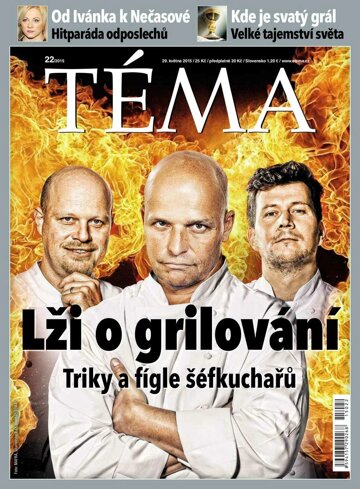 Obálka e-magazínu TÉMA 29.5.2015