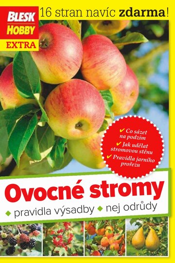 Obálka e-magazínu Příloha Blesku Hobby - 9/2016