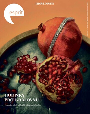 Obálka e-magazínu Esprit LN 4.11.2020