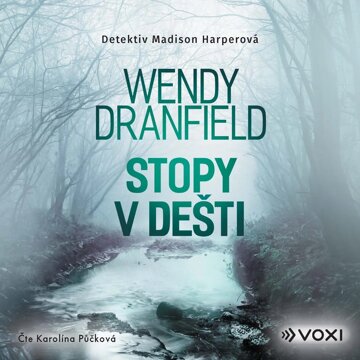 Obálka audioknihy Stopy v dešti