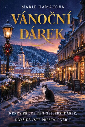 Obálka knihy Vánoční dárek