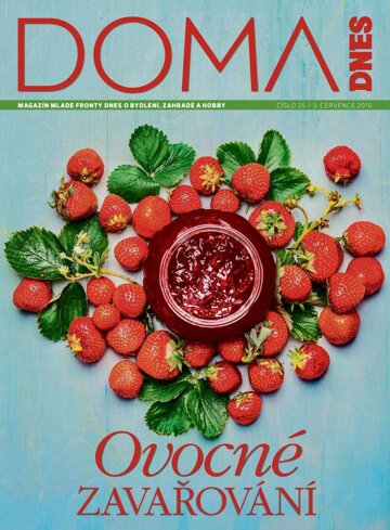Obálka e-magazínu Doma DNES 3.7.2019