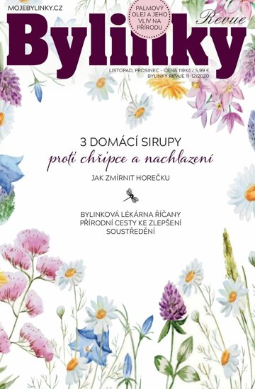 Obálka e-magazínu Bylinky 11-12/20