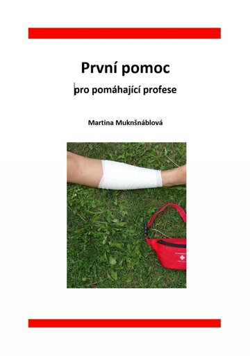 Obálka knihy První pomoc pro pomáhající profese