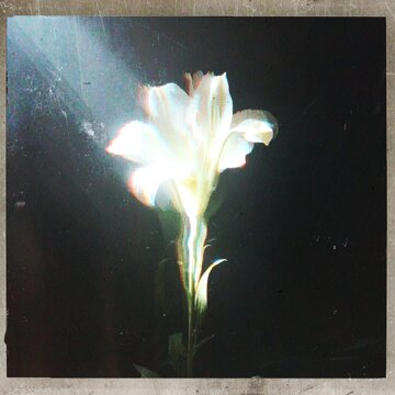 Obálka uvítací melodie Light That Leads Me