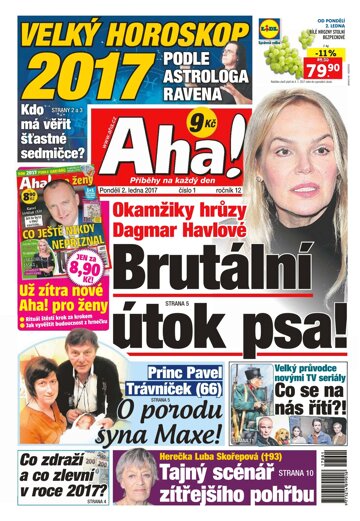 Obálka e-magazínu AHA! 2.1.2017