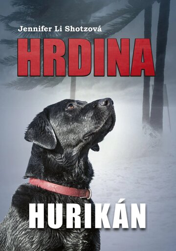 Obálka knihy Hrdina: Hurikán