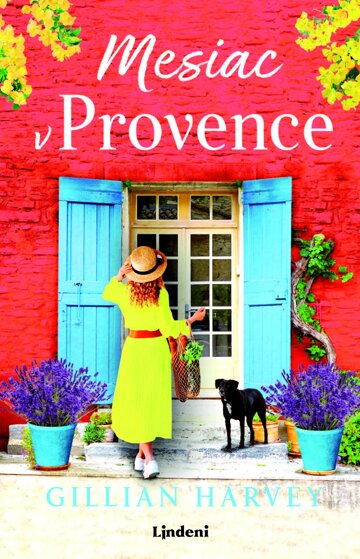 Obálka knihy Mesiac v Provence