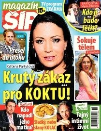 Obálka e-magazínu Magazín Šíp 32/2013
