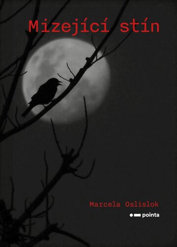 Obálka knihy Mizející stín