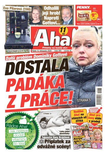 Obálka e-magazínu AHA! 13.11.2020