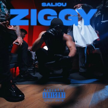 Obálka uvítací melodie Ziggy