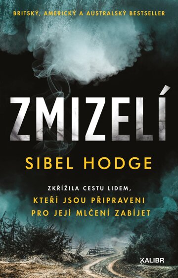 Obálka knihy Zmizelí