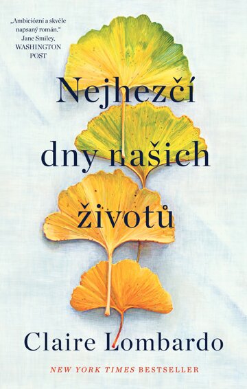 Obálka knihy Nejhezčí dny našich životů