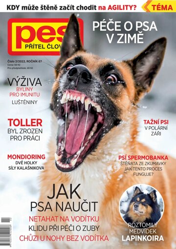 Obálka e-magazínu Pes přítel člověka 2/2022