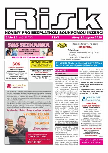 Obálka e-magazínu Risk 31/2020