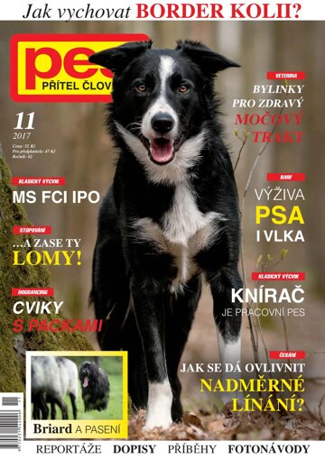 Obálka e-magazínu Pes přítel člověka 11/2017