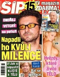 Obálka e-magazínu Magazín Šíp 27/2012