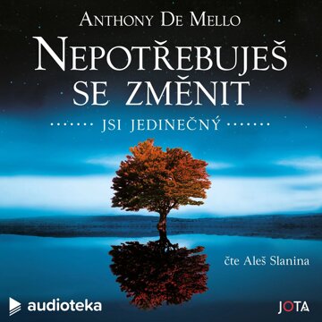 Obálka audioknihy Nepotřebuješ se změnit