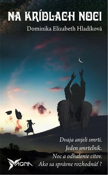 Obálka knihy Na krídlach noci