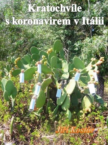 Obálka knihy Kratochvíle s koronavirem v Itálii