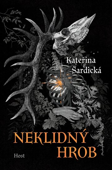 Obálka knihy Neklidný hrob